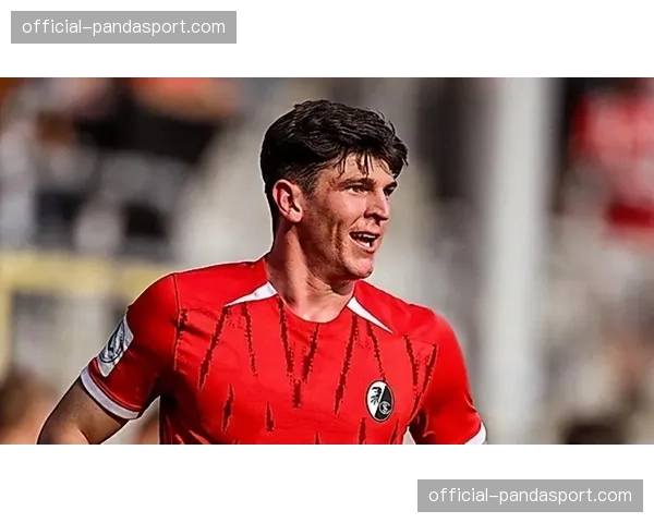 沃尔夫斯堡 vs 弗赖堡因场内出现烟雾暂停比赛15分钟 沃尔夫斯堡 vs 弗赖堡因场内出现烟雾暂停比赛15分钟