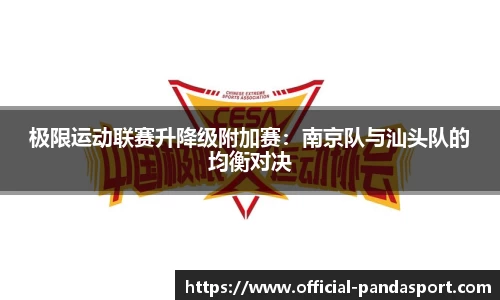熊猫体育官方网站